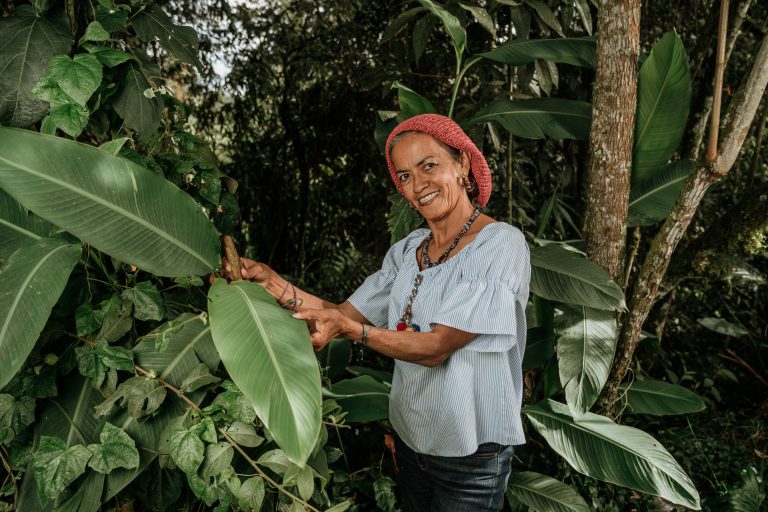 Irinida Cáceres – Plantas